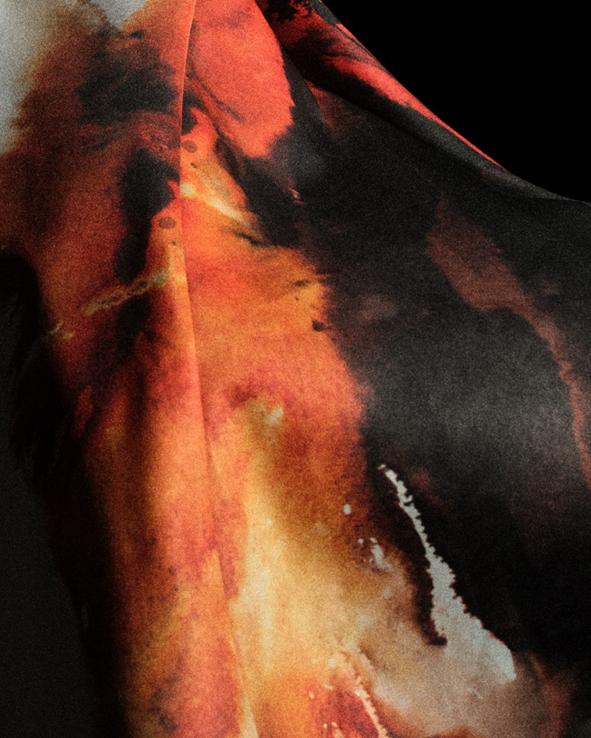 他们在转会 他们在转会