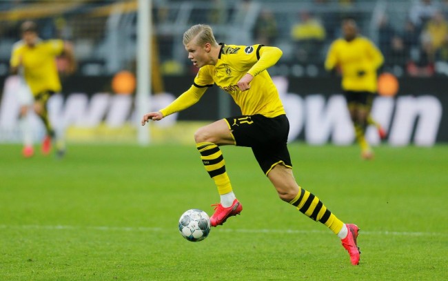 更新迅速的 更新迅速的